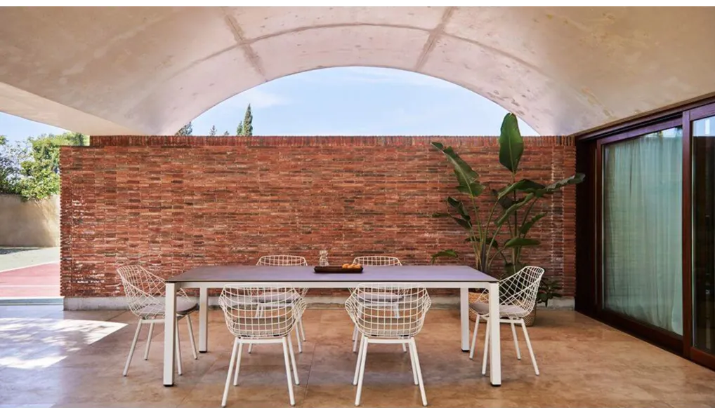 Table Salvia