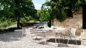 Table Branch