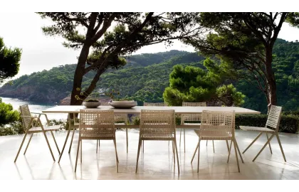 Table Branch