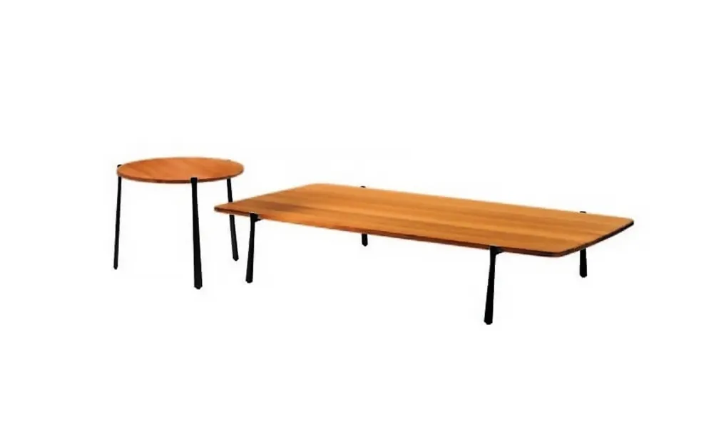 Table basse Branch
