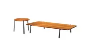 Table basse Branch