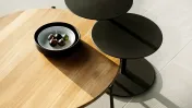 Table basse Branch