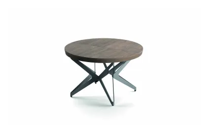 Table Big Round Ozzio - 1