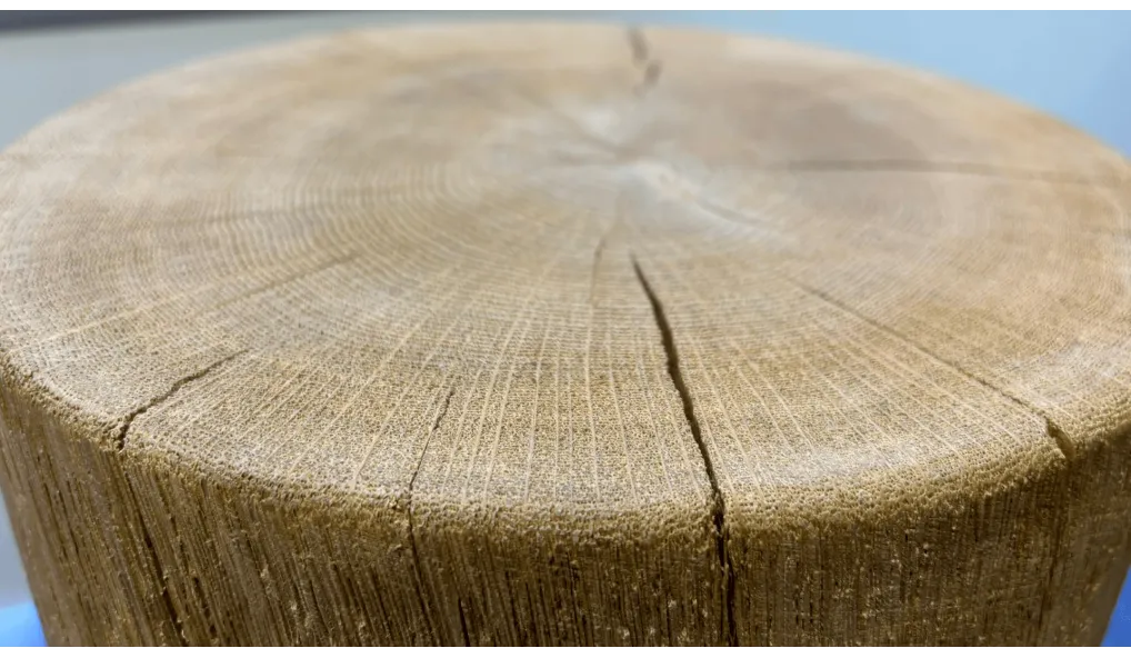 Cylindres en bois