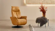 Fauteuil relax easywing 7060