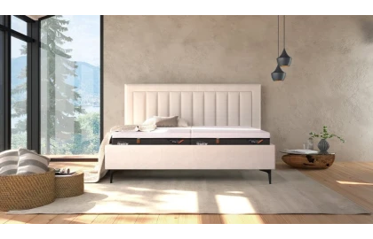 Lit Design