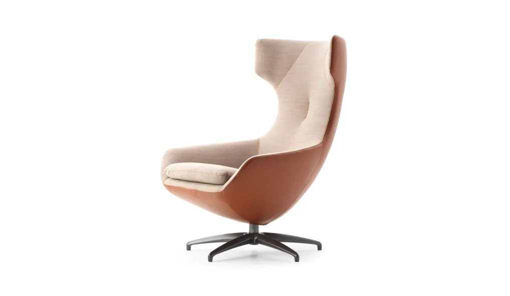 Fauteuil Caruzzo Leolux - 1